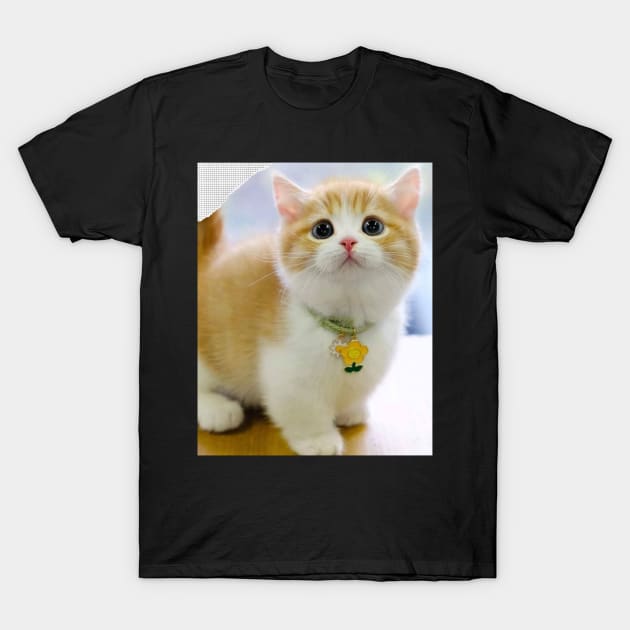 chubby chubby cats T-Shirt by kunasin